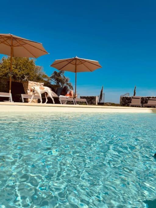 Dome Insolite Lichen Jacuzzi Et Petits-Dejeuners Inclus Gondrin Eksteriør billede